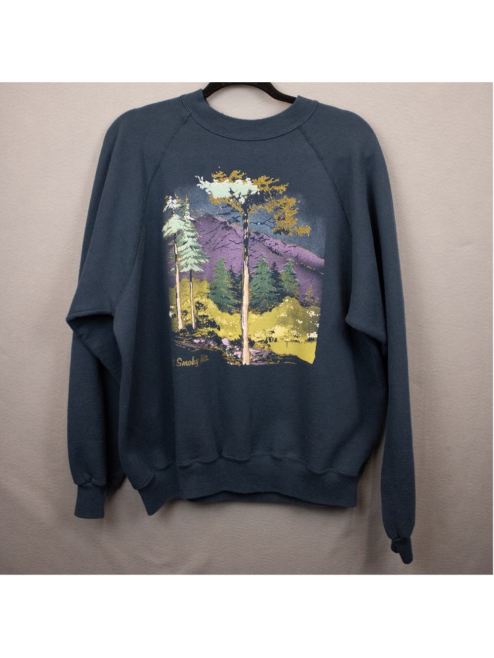 Vintage Hanes steel blue Smokey Mountain print crewneck sweatshirt-XL